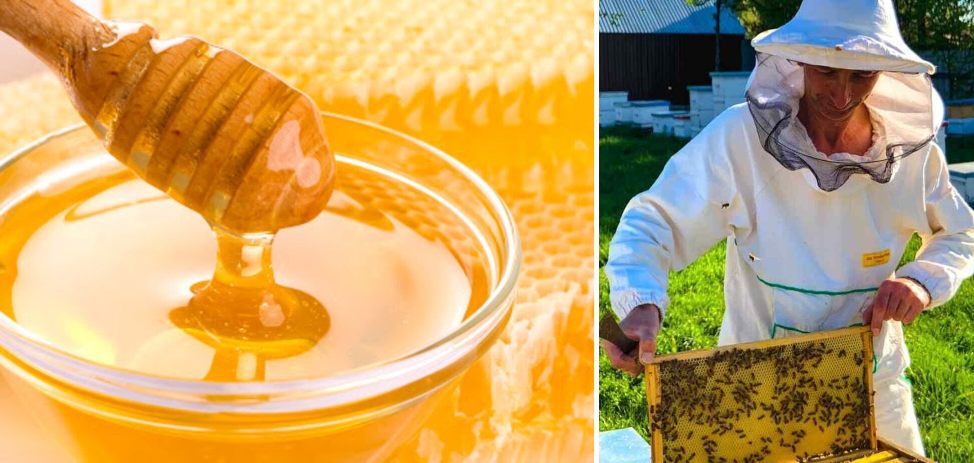 Honey prices rose sharply in Ukraine in 2021