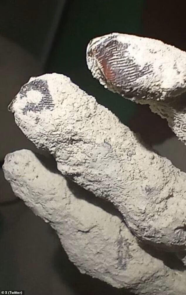 Were they not humans? Unusual fingerprints found in ''alien mummies'' from Peru