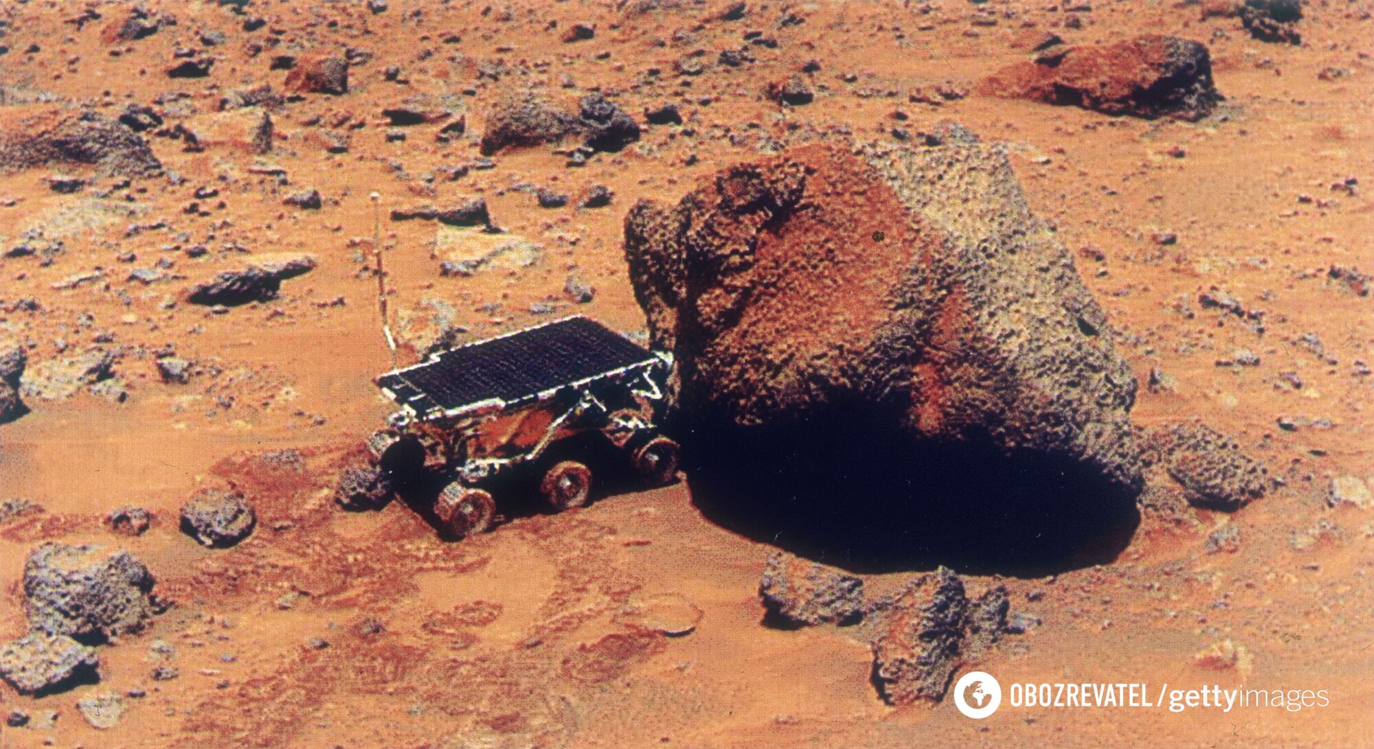 Is there life on Mars? Scientists have discovered a plant that can survive on the red planet. Photo