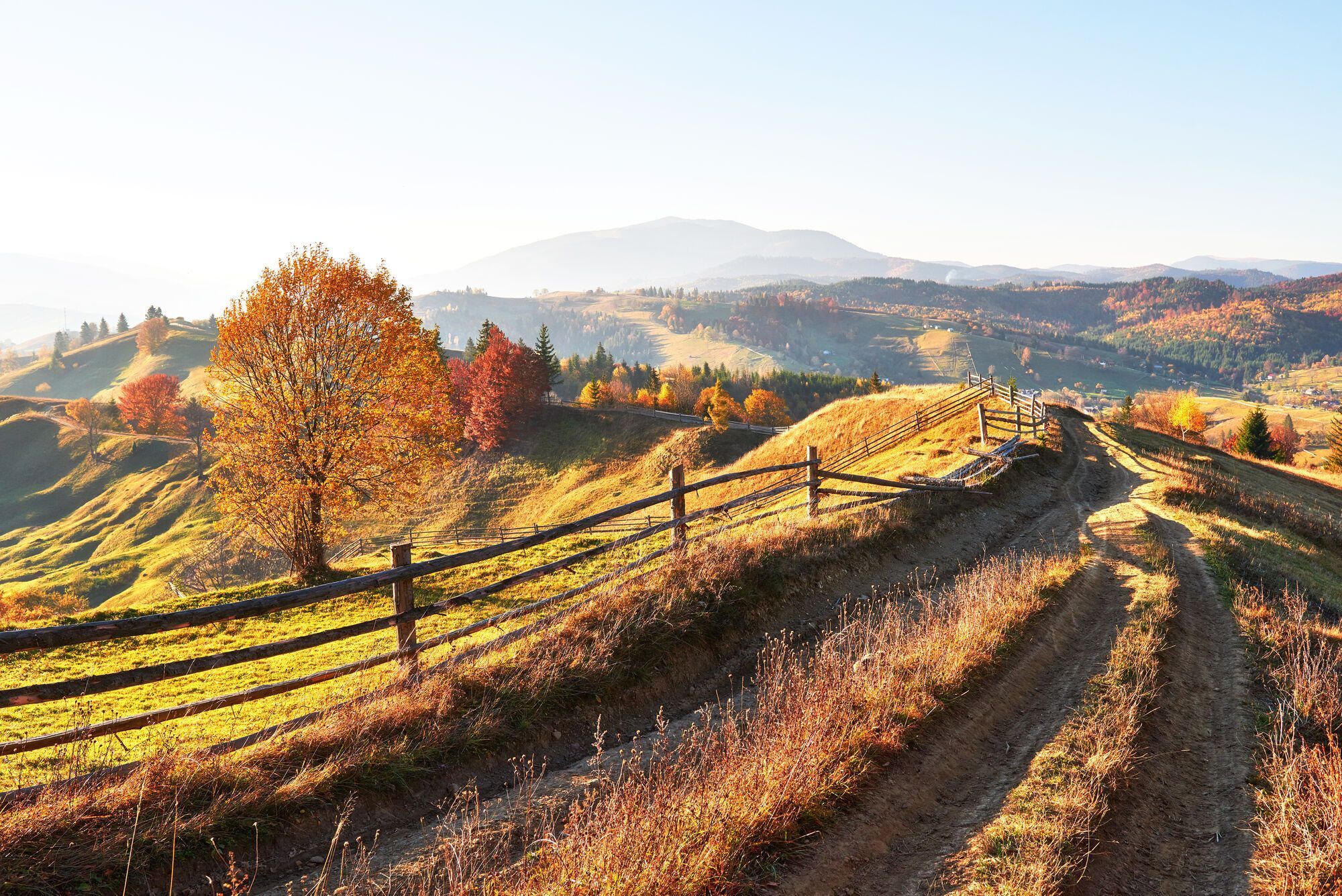 Autumnal Equinox Day 2024 when this year omens and traditions