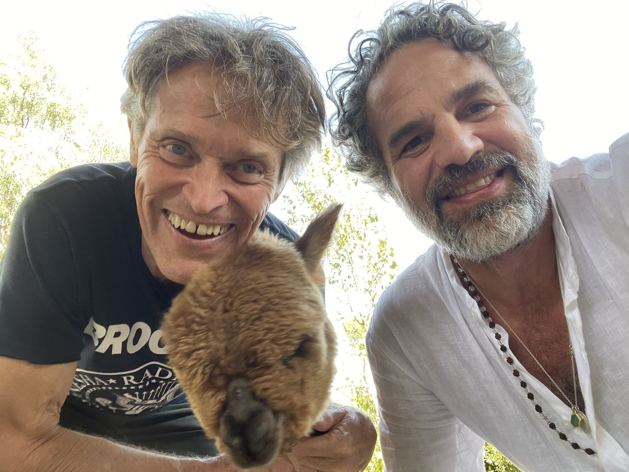 Willem Dafoe kissed a llama on the red carpet and touched the web. Viral photo