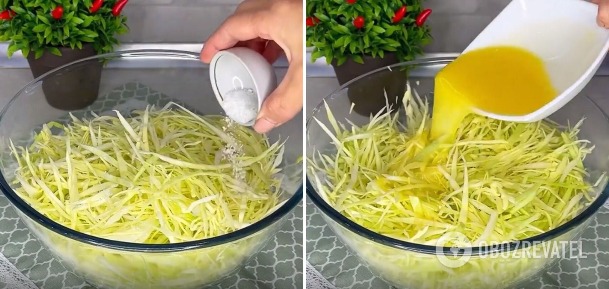 Cabbage preparation