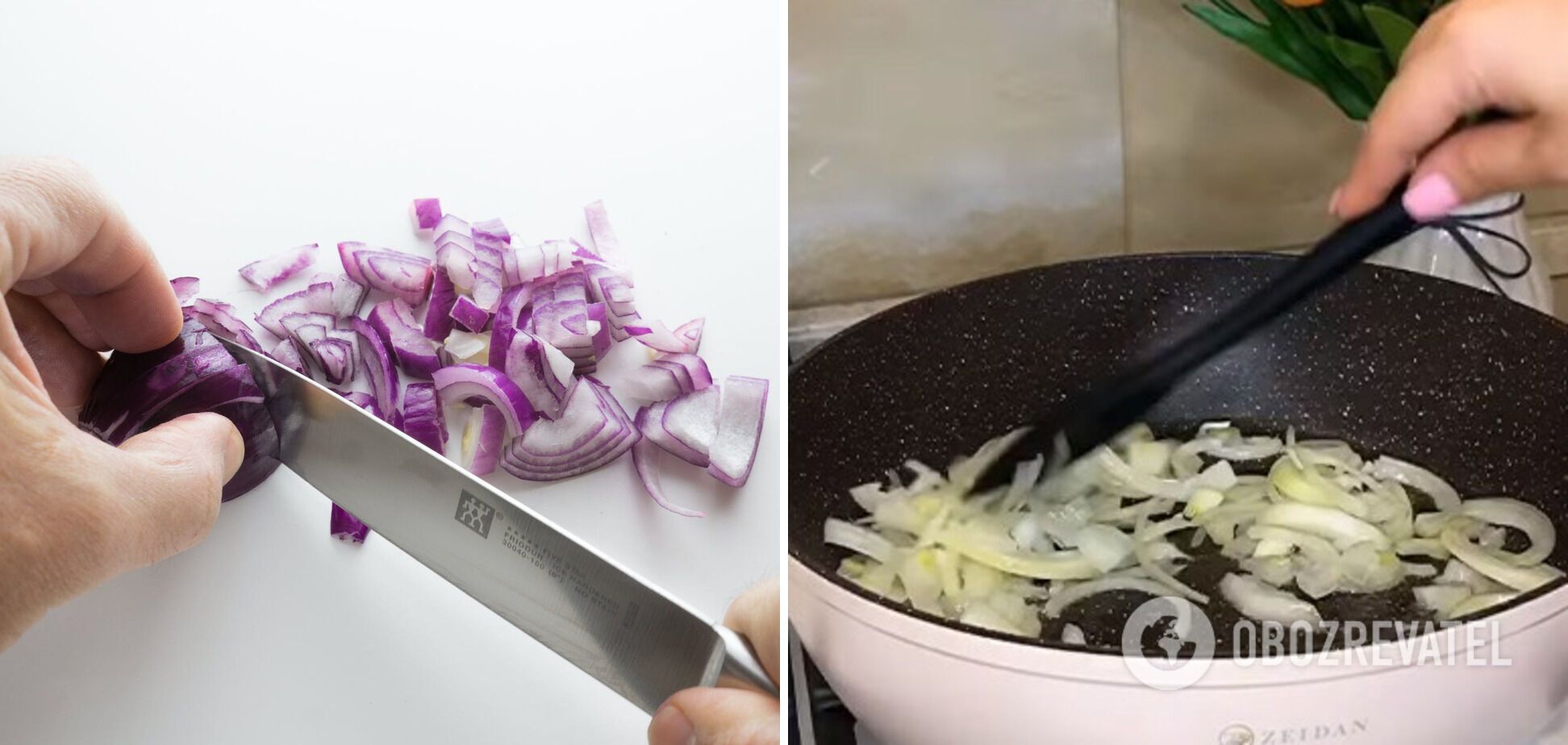 Onions for the dish