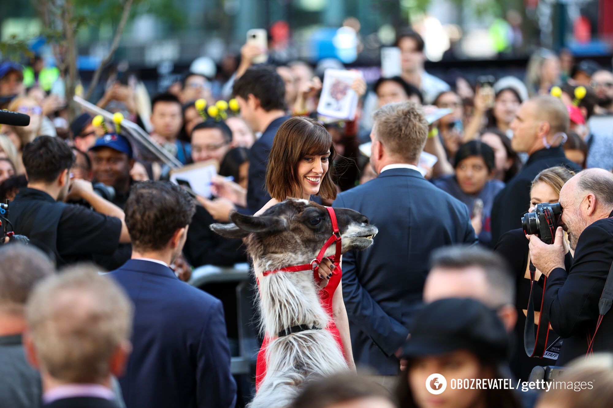 Willem Dafoe kissed a llama on the red carpet and touched the web. Viral photo