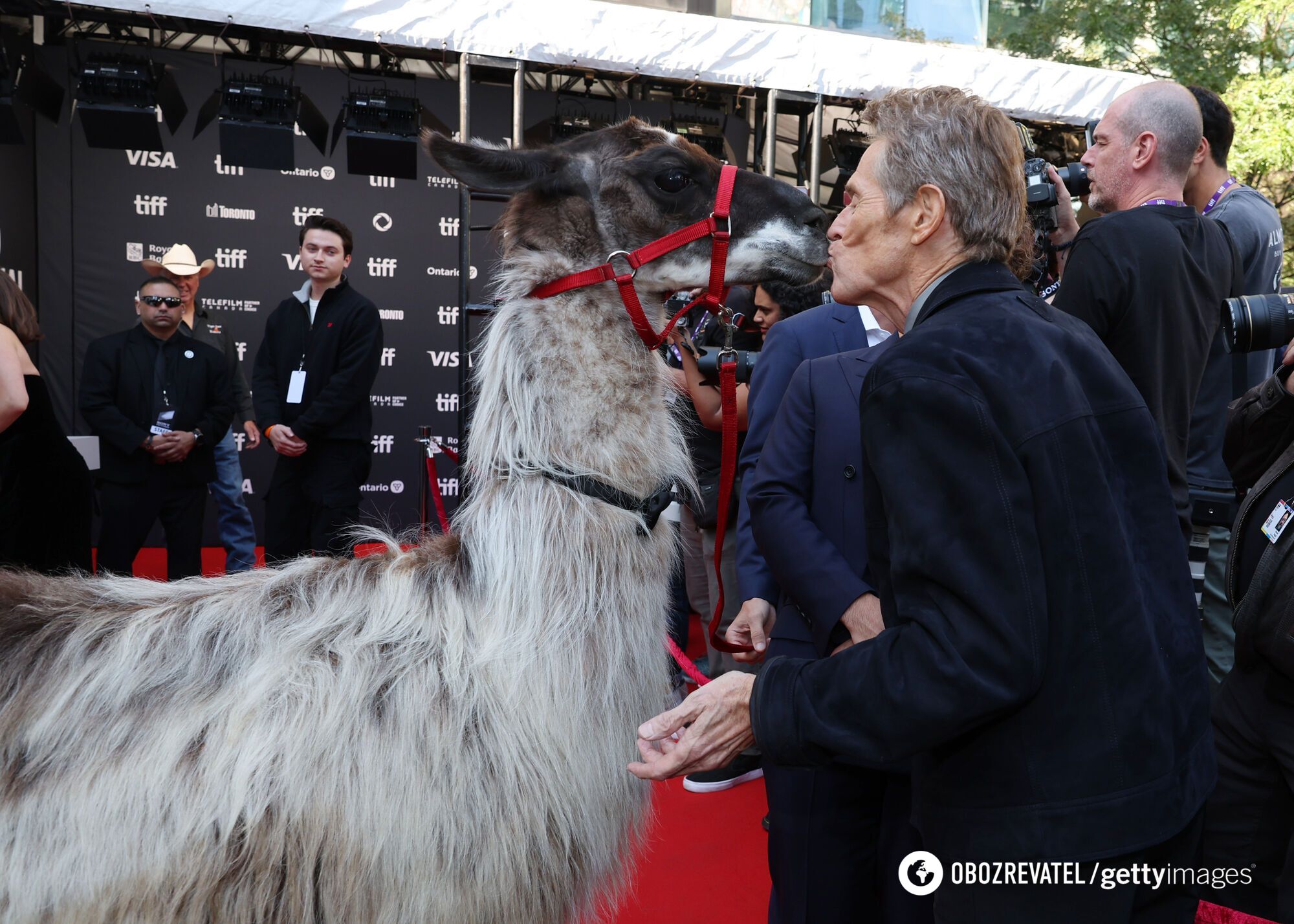 Willem Dafoe pocałował lamę na czerwonym dywanie i poruszył sieć. Wirusowe zdjęcie