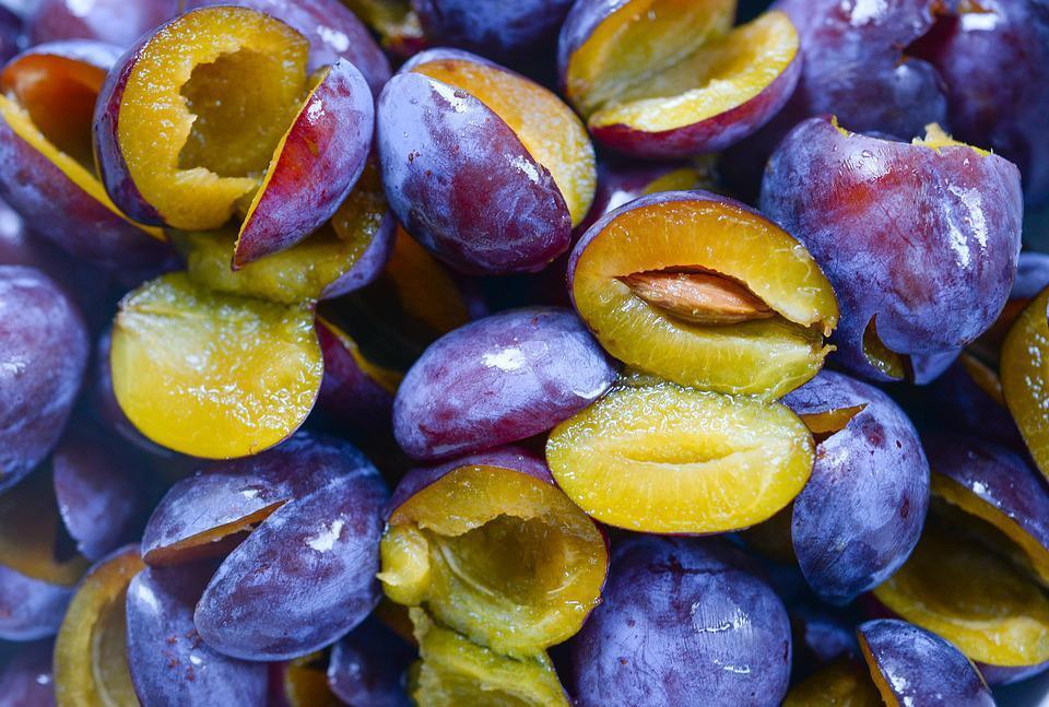 Dried plums in the dehydrator