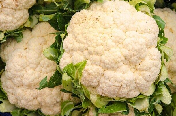 How to make cauliflower for winter