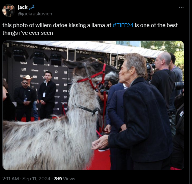 Willem Dafoe kissed a llama on the red carpet and touched the web. Viral photo