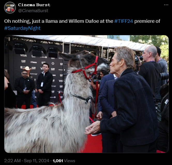 Willem Dafoe kissed a llama on the red carpet and touched the web. Viral photo