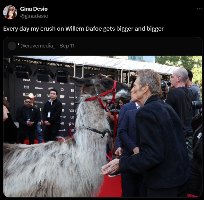 Willem Dafoe kissed a llama on the red carpet and touched the web. Viral photo