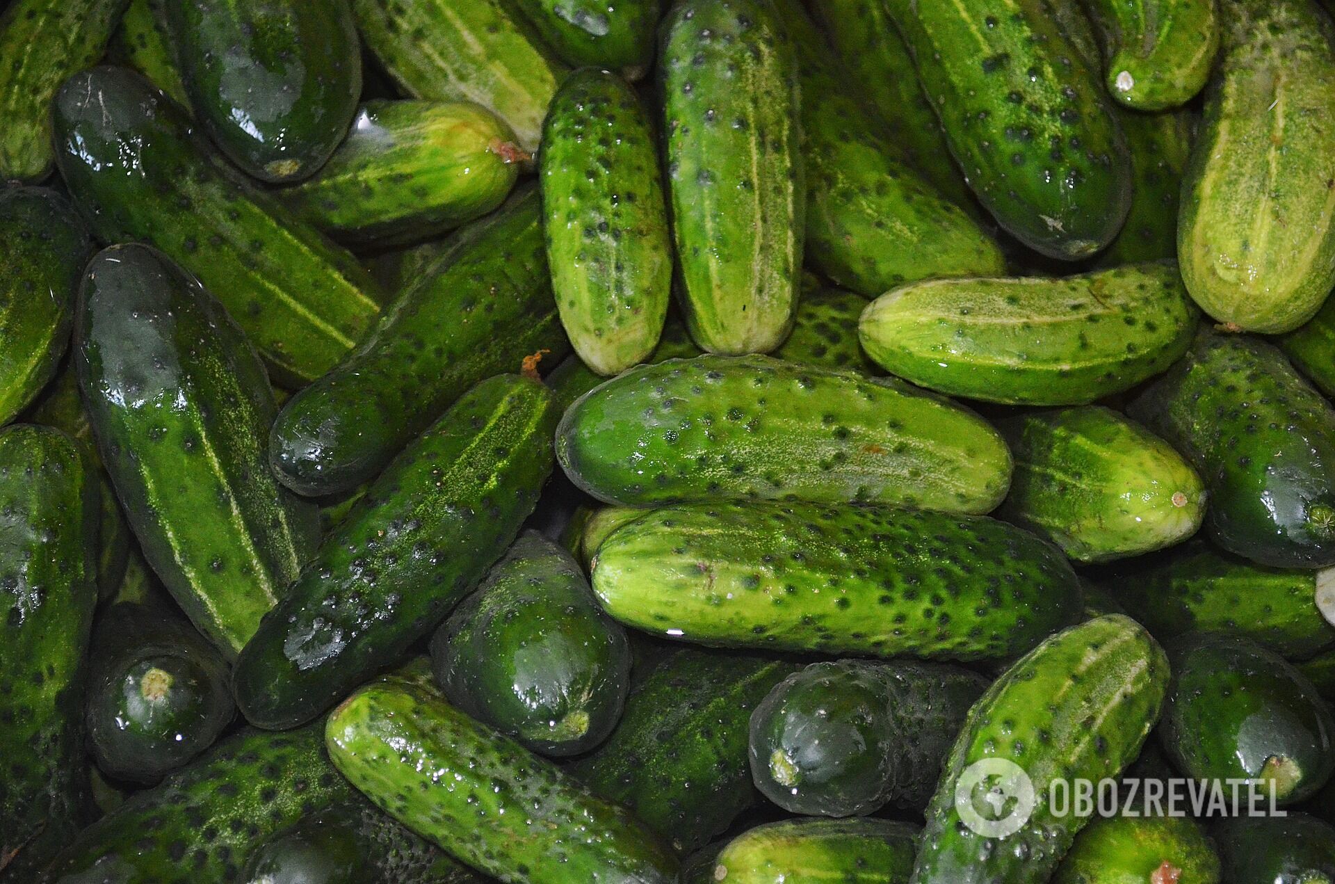 Fresh cucumbers