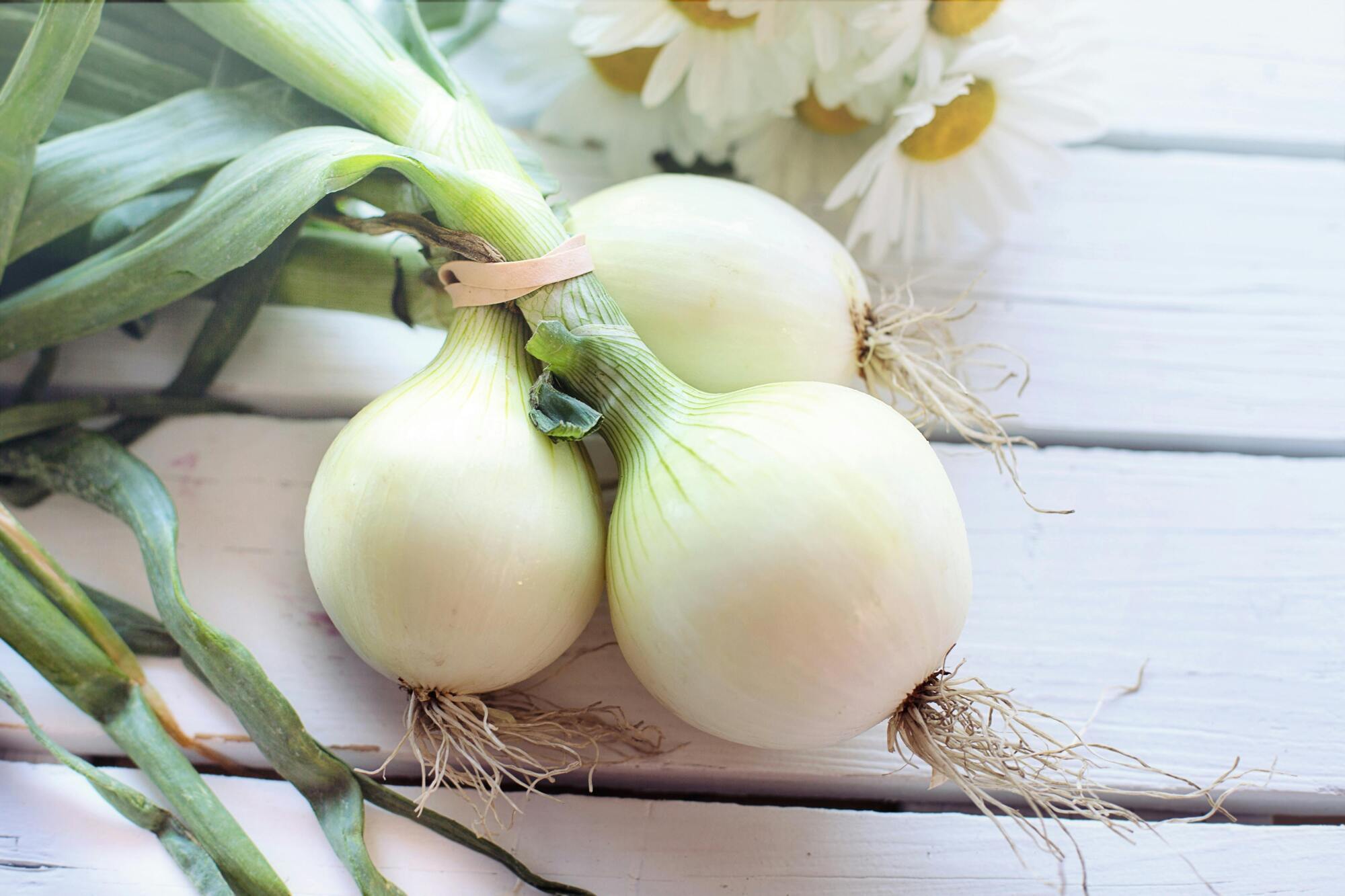 Where to store onions to keep them fresh for weeks: the best place is named