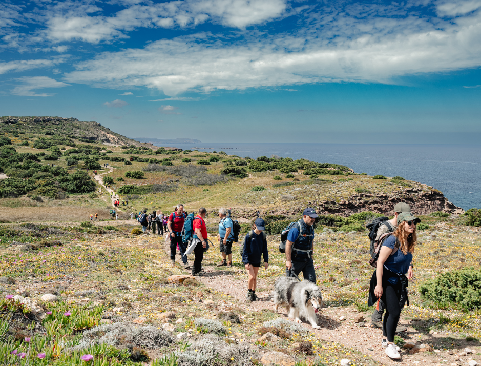 This Italian island offers tourists three free nights: what are the conditions