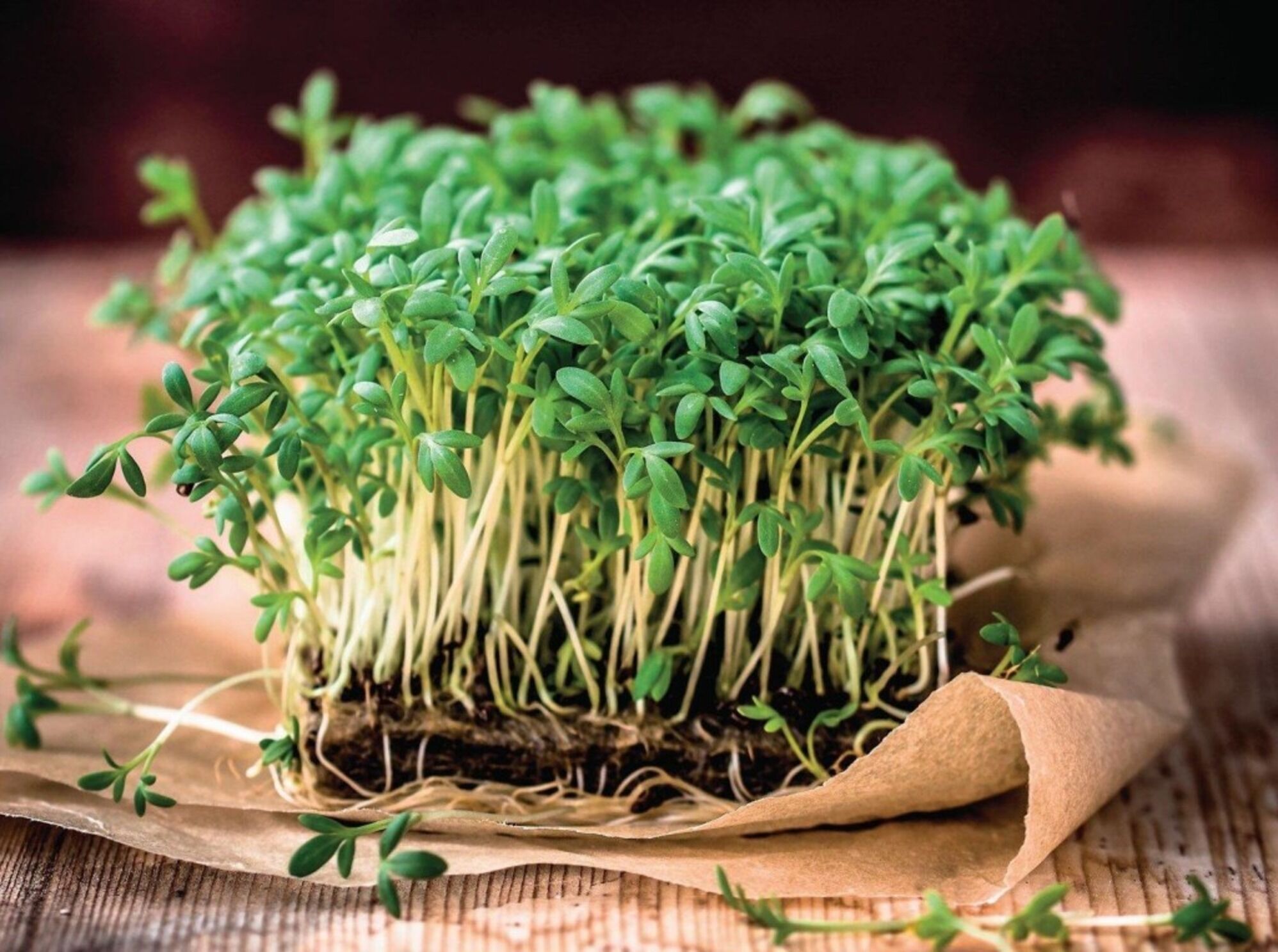 types of microgreens