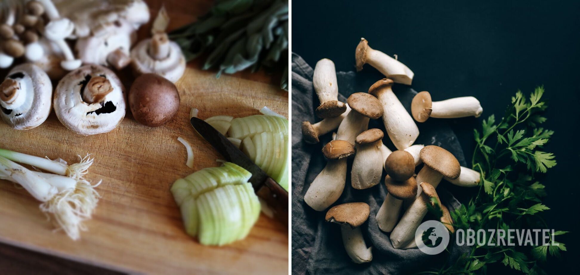 Mushrooms with onions for a dish