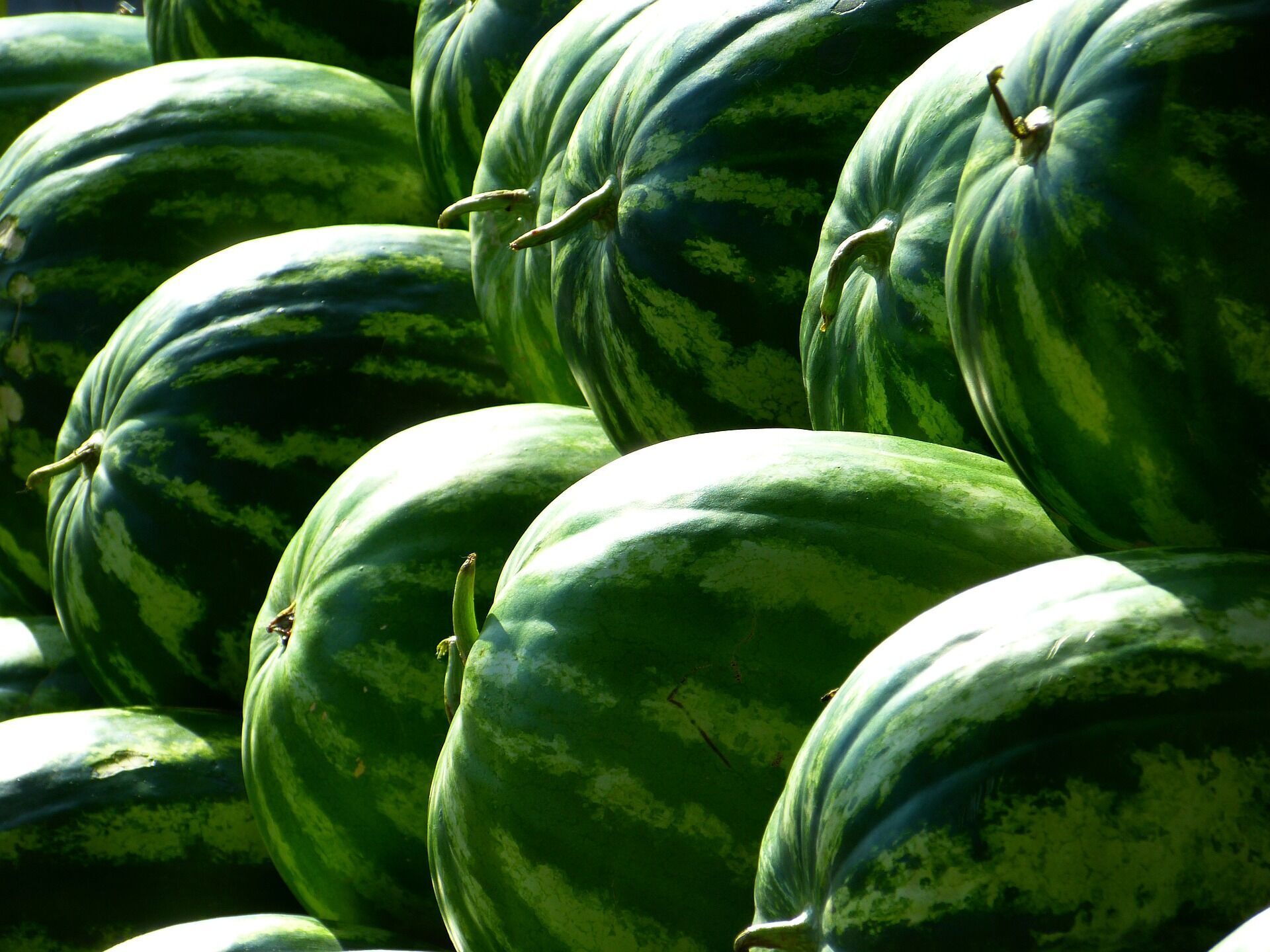 First watermelons appeared on sale in Ukraine: how to choose a safe berry