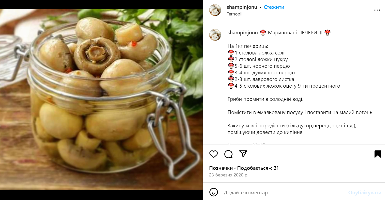 How to deliciously pickle champignons for the winter: a variant of a wonderful spicy appetizer for the festive table