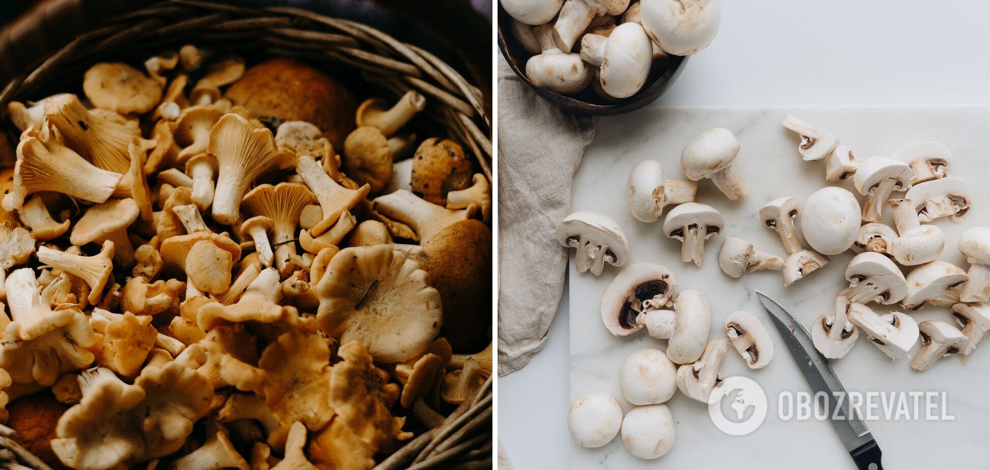 Mushrooms for borscht