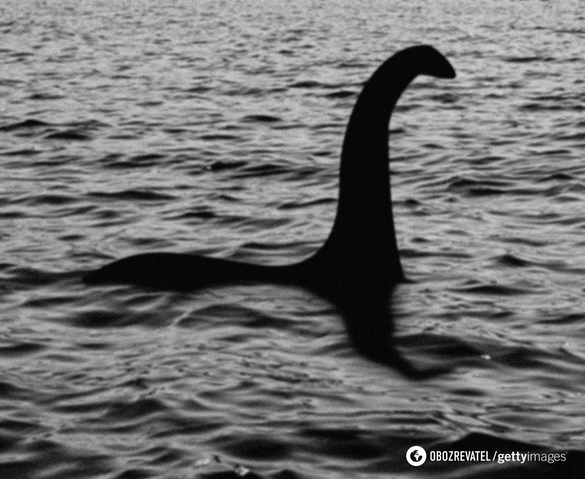 ''I felt a bump'': experienced swimmer comes across mysterious creature in Loch Ness Lake and shares his impressions