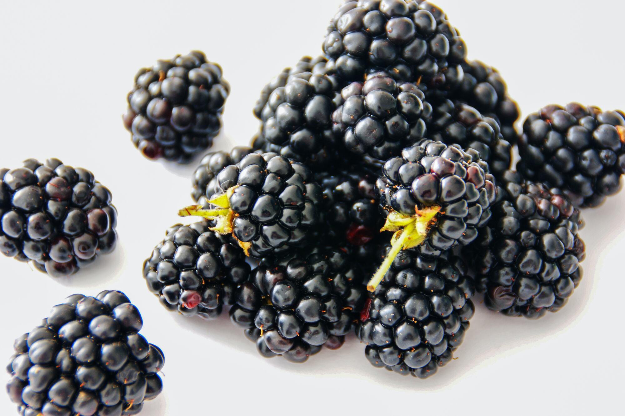 Blackberries for jam