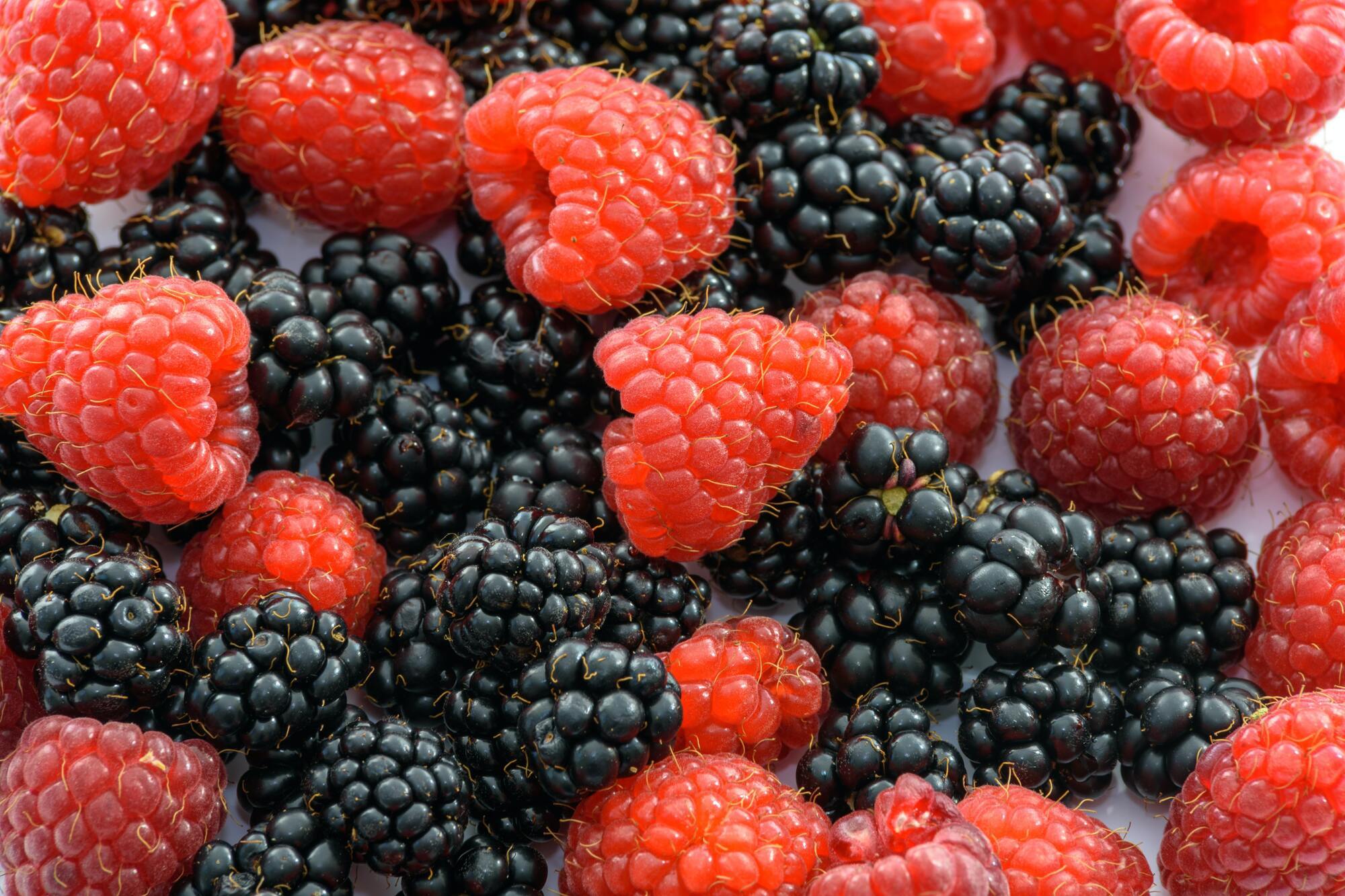 Fresh berries for compotes