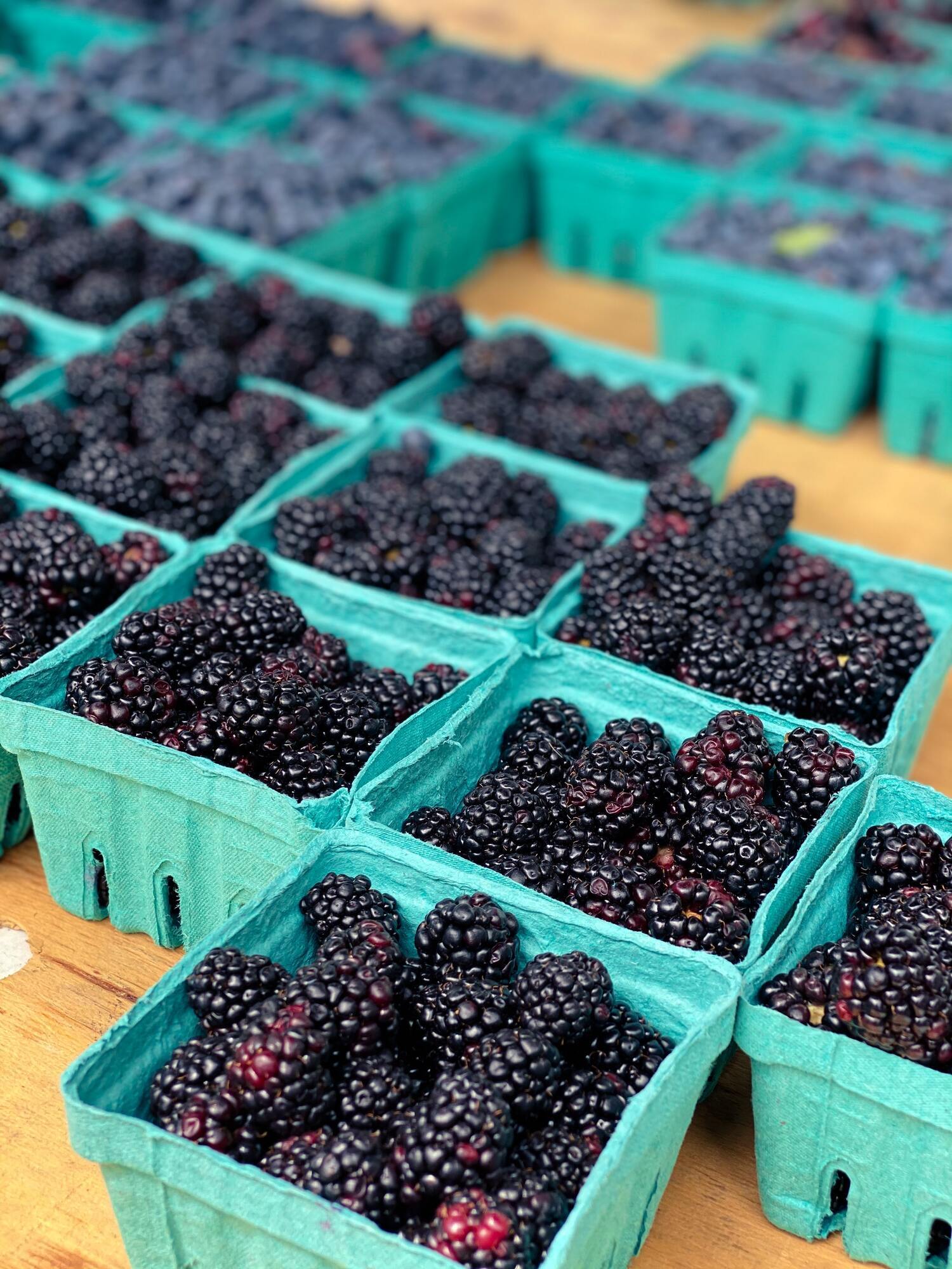 Blackberries for compote