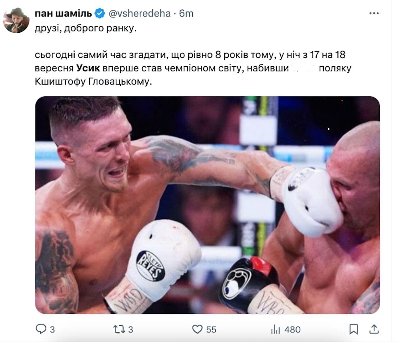 Transporting grain or revenge for beating a Pole: social media reacted to Usyk's arrest with memes