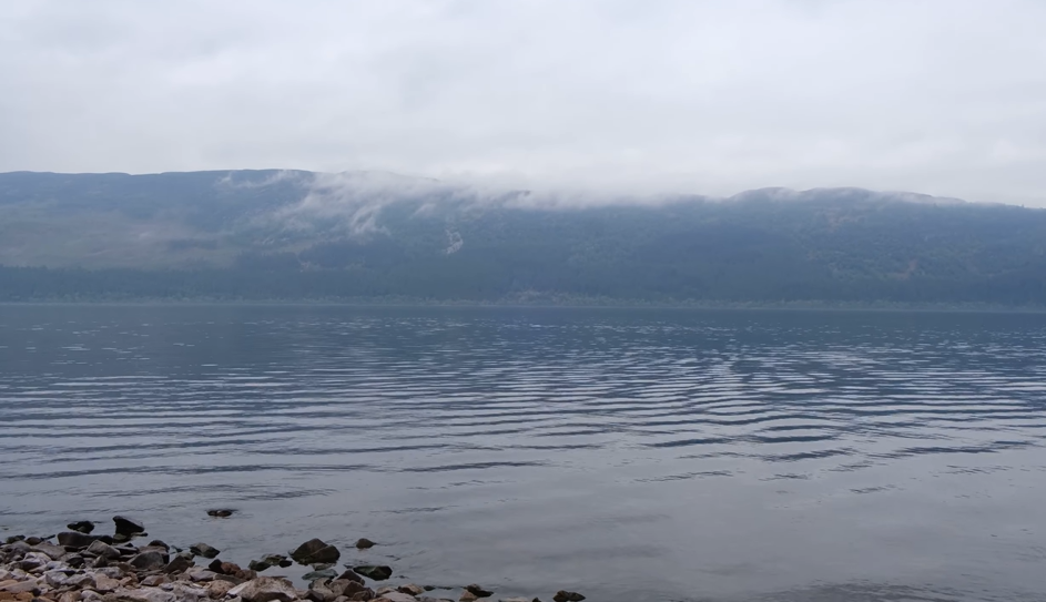 ''I felt a bump'': experienced swimmer comes across mysterious creature in Loch Ness Lake and shares his impressions