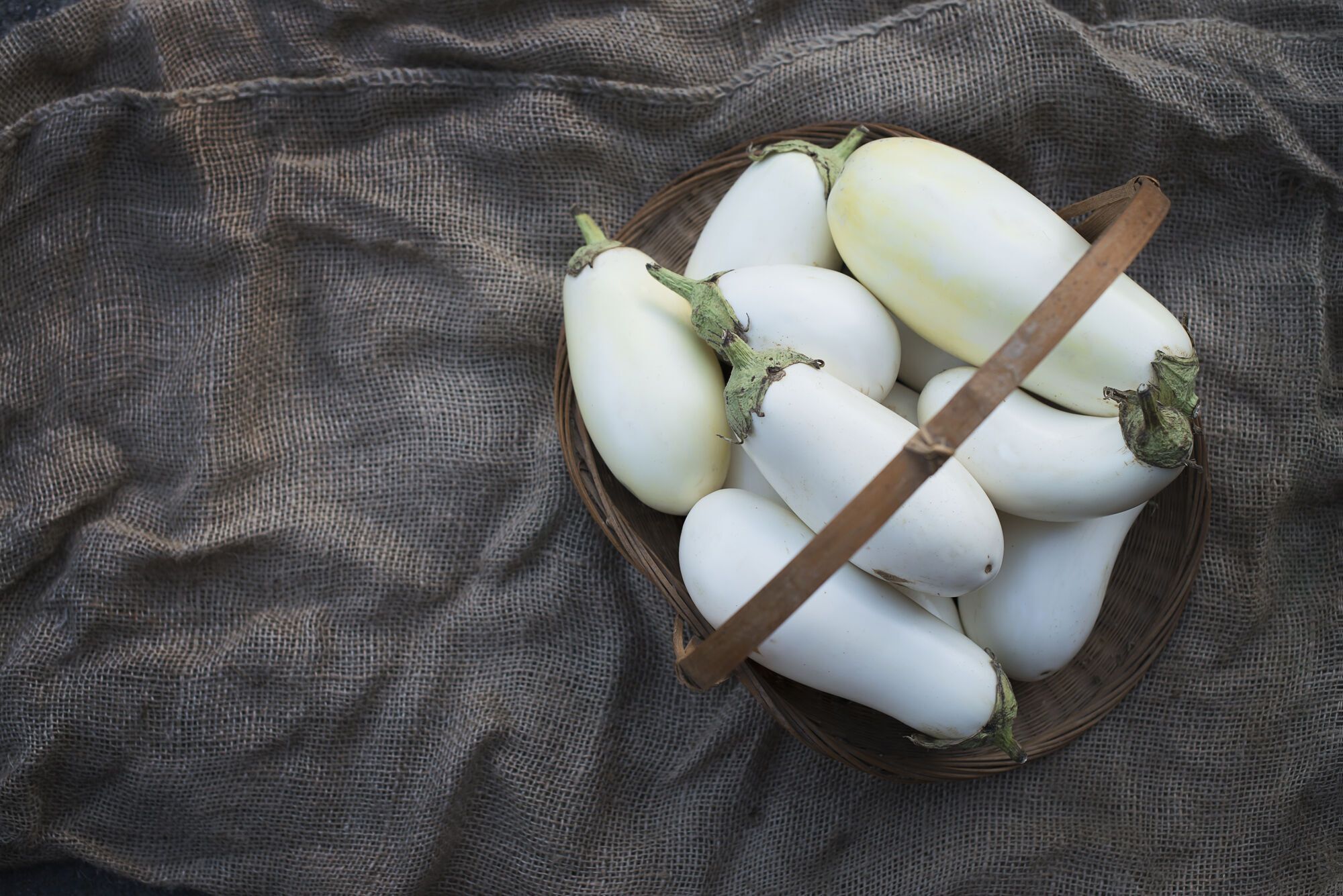 What eggplants are definitely not bitter: we explain which ones to choose