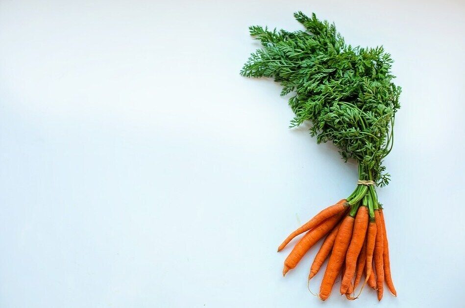 How to properly store carrots in sand