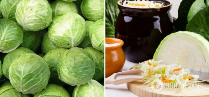 Cabbage for stuffing