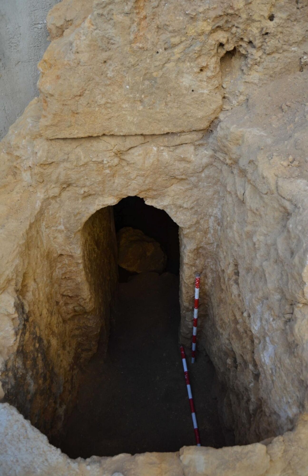 The world's oldest wine was found in Spain:  what a muddy liquid with the ashes of the dead looks like. Photo