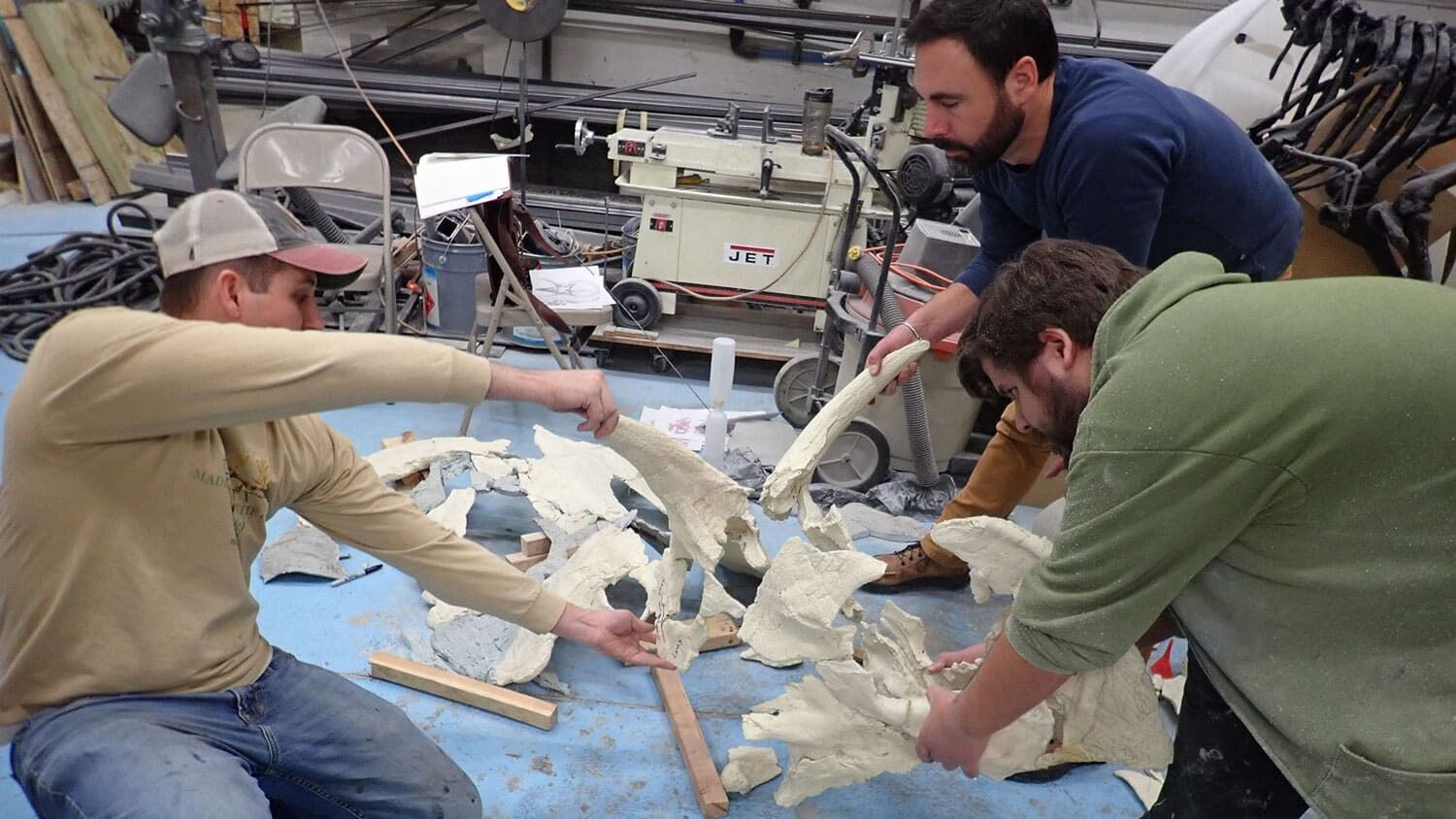 A new species of dinosaur with large blade-like horns has been found in Montana. Photo