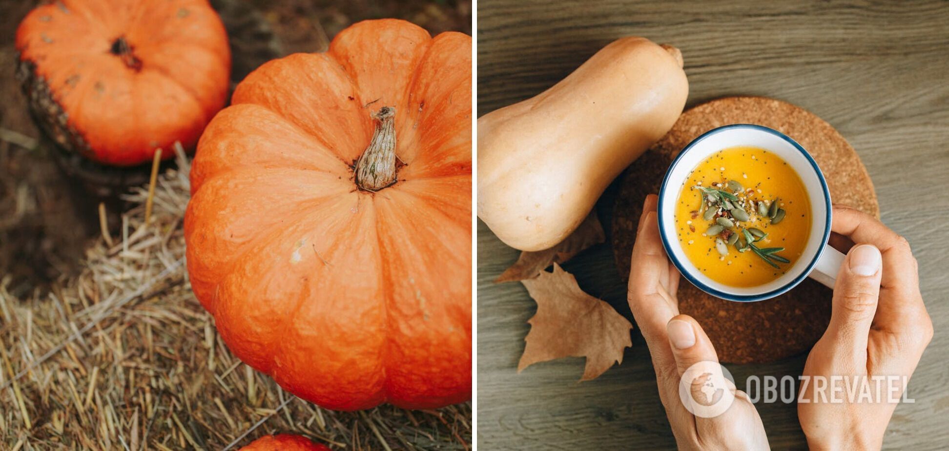 Pumpkin is the vegetable of the fall season