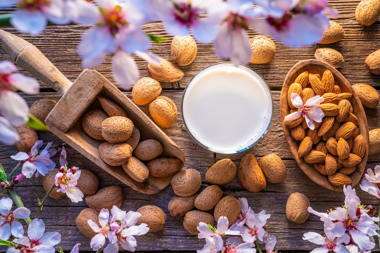 Almonds: the secret of proper consumption revealed, which few people know about