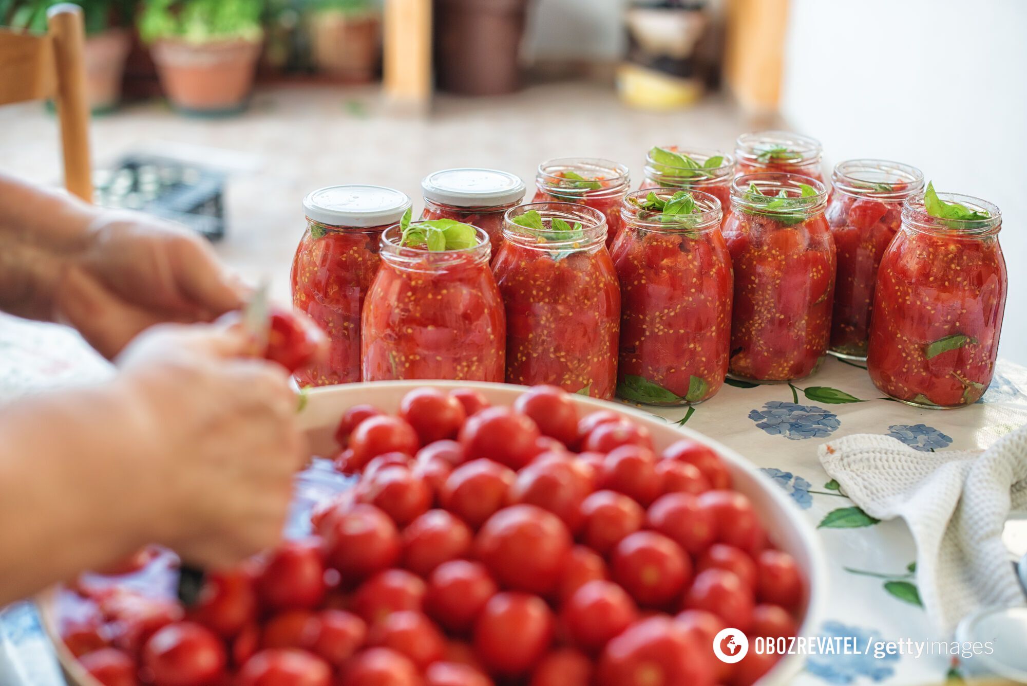 Pickled tomatoes.