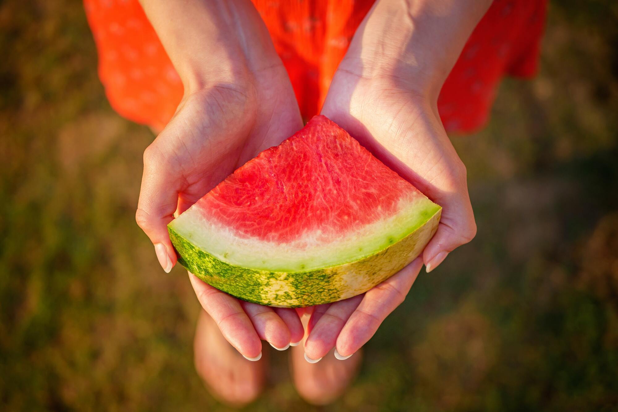 Nitrate ''bomb'': how to recognize a watermelon laced with ''chemistry'' and what are the risks of eating it