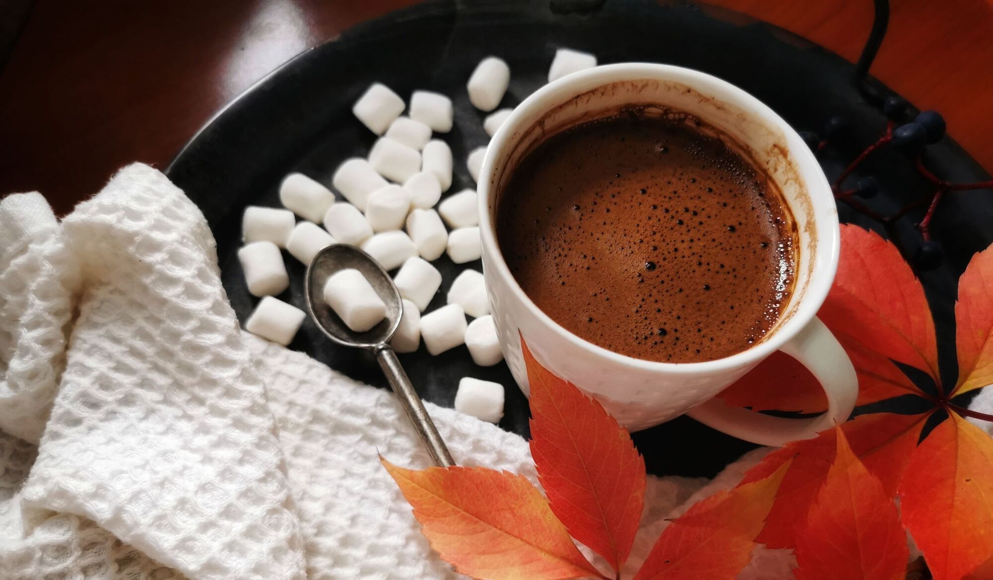 Hot chocolate with citrus and cinnamon