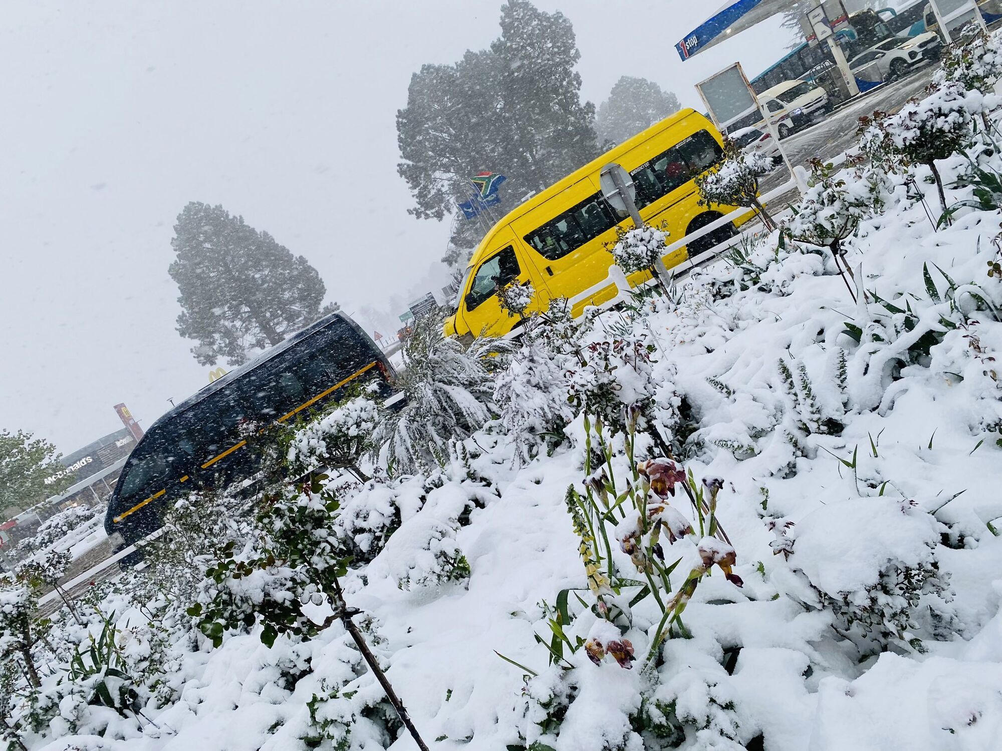 Two-meter precipitation and disrupted traffic: South Africa hit by severe snow. Photo and video