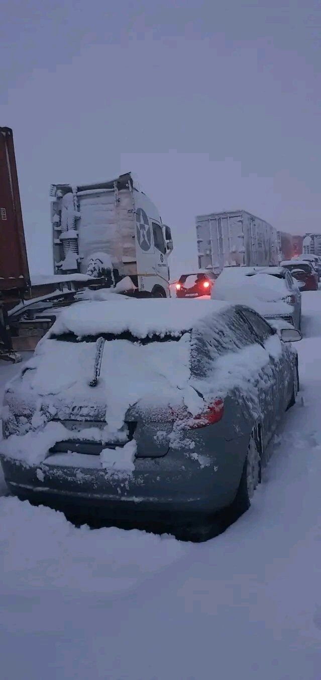 Two-meter precipitation and disrupted traffic: South Africa hit by severe snow. Photo and video