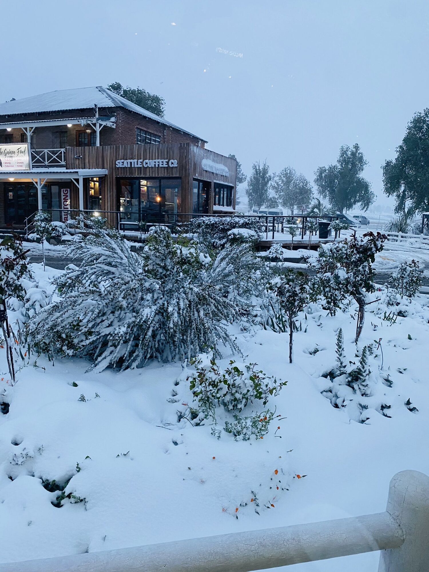 Two-meter precipitation and disrupted traffic: South Africa hit by severe snow. Photo and video