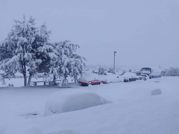 Two-meter precipitation and disrupted traffic: South Africa hit by severe snow. Photo and video