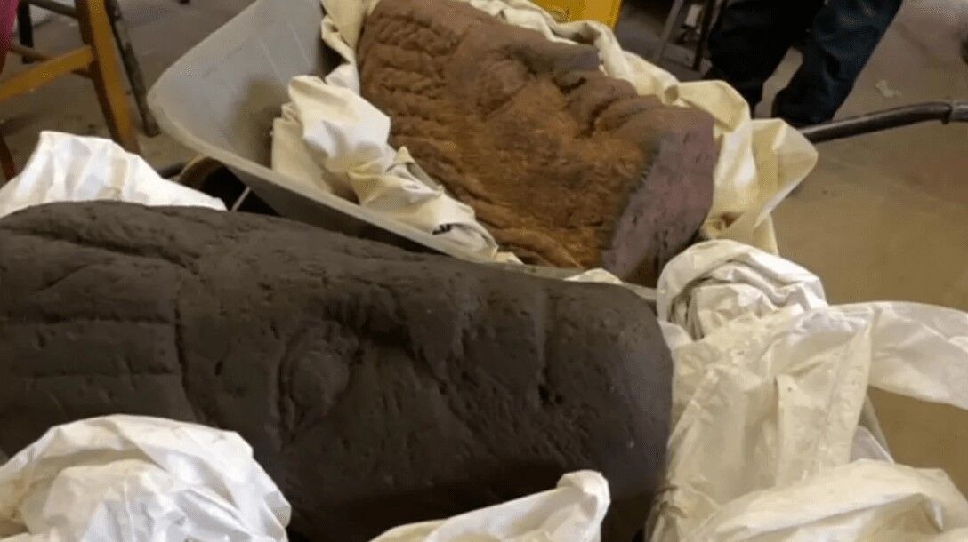 Archaeologists found the head of a statue of a woman at the Carlisle dig: what makes it unique. Photo