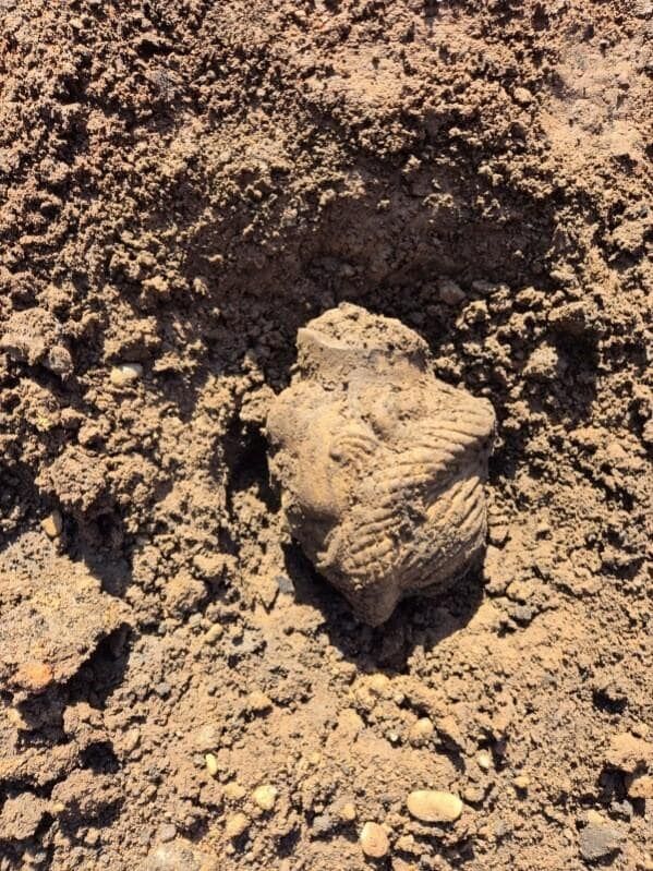 Archaeologists found the head of a statue of a woman at the Carlisle dig: what makes it unique. Photo