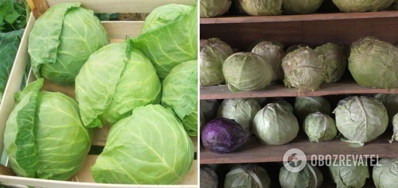 How to store cabbage in boxes and on the rack