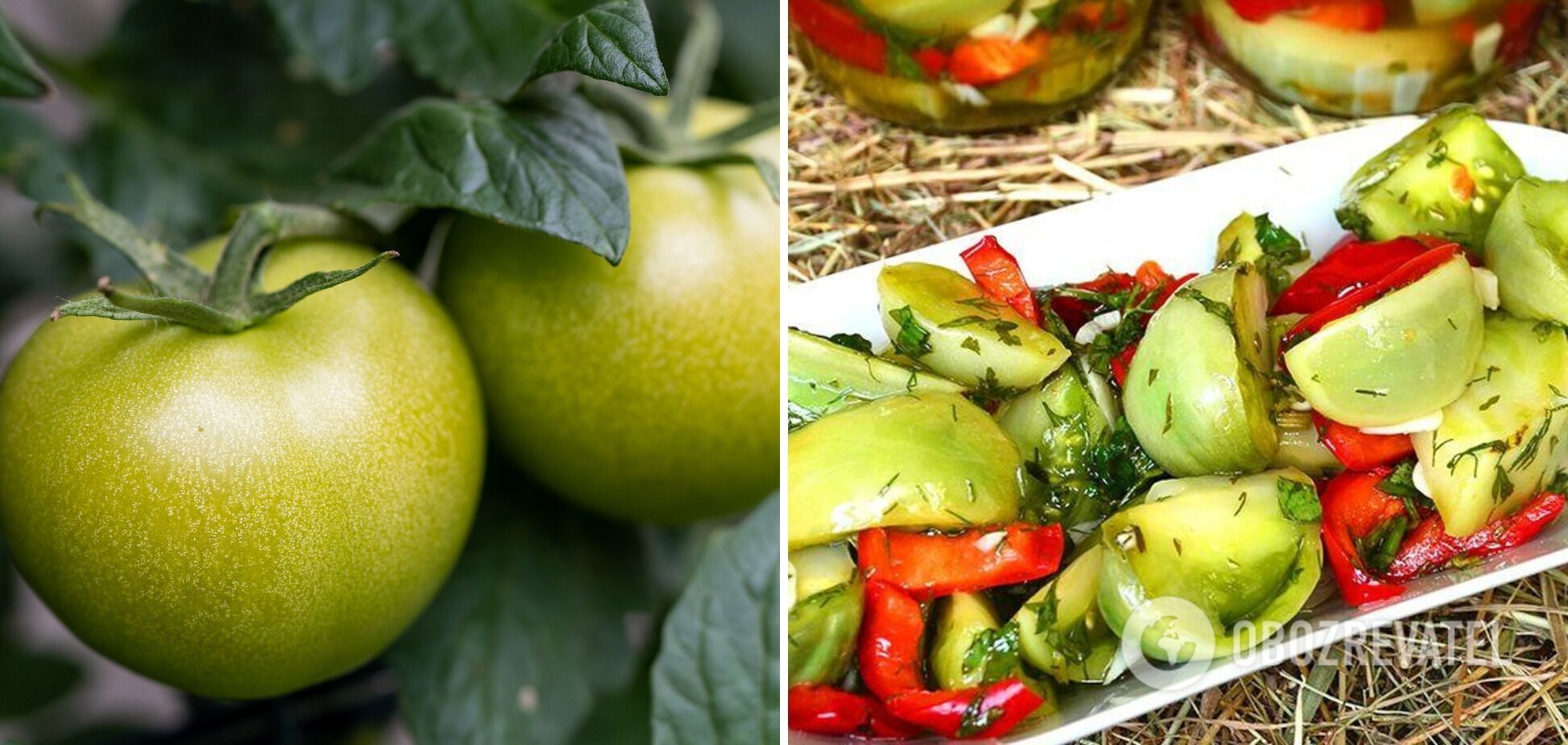 Green tomatoes with sugar.