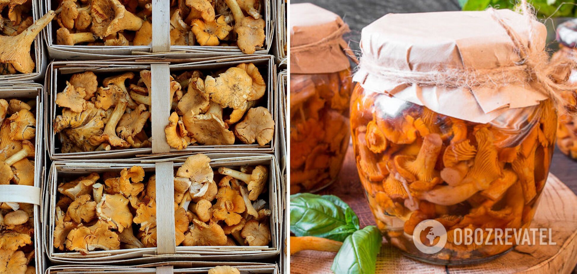 Pickled chanterelles with spices.