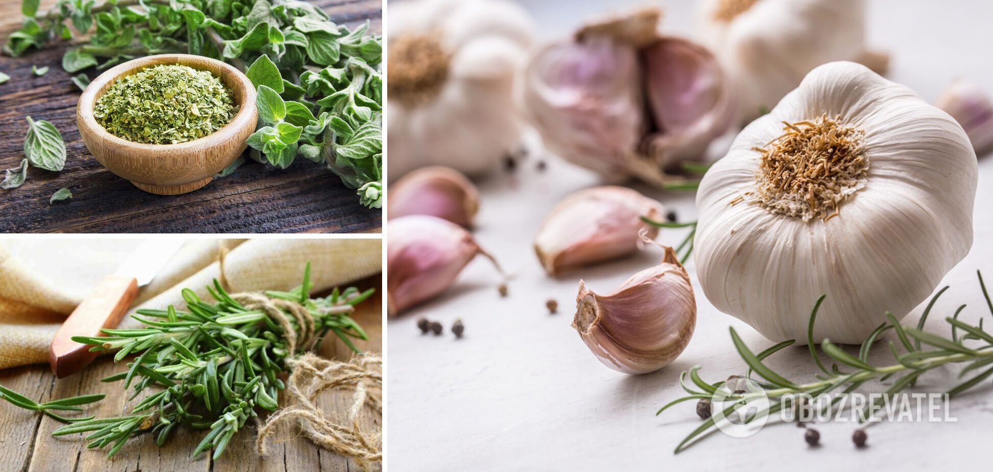 Rosemary, garlic and dried oregano - ingredients for a plum appetizer