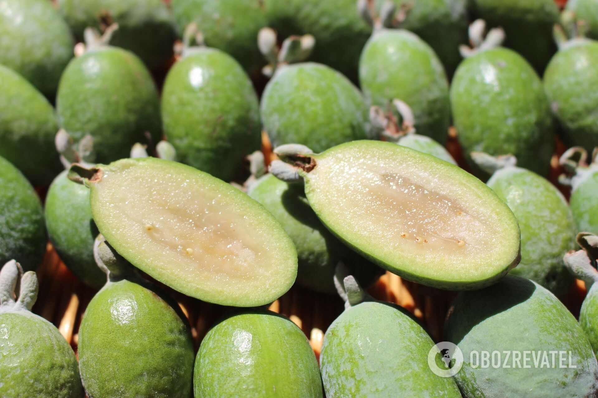 What are the benefits of feijoa