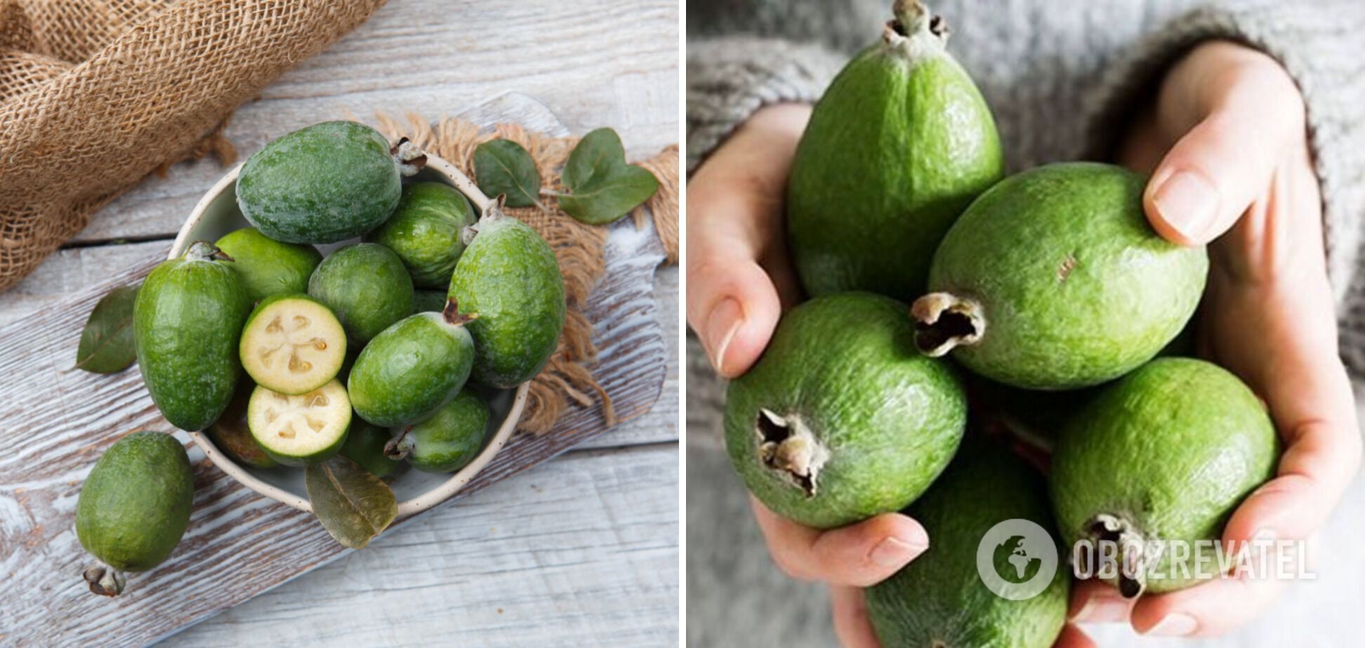 Useful properties of feijoa